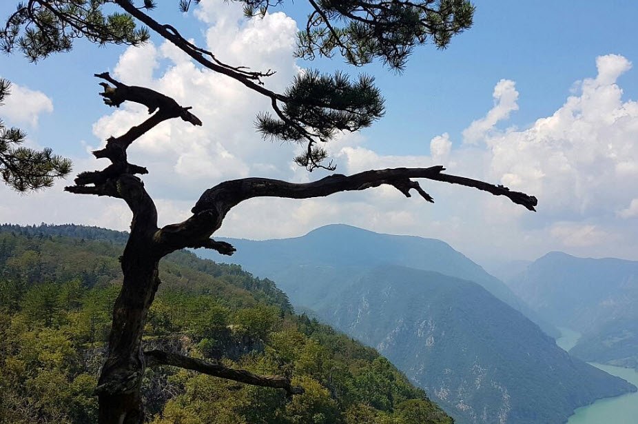 Tara National Park, Western Serbia, Serbia